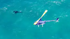 Scenic Flights