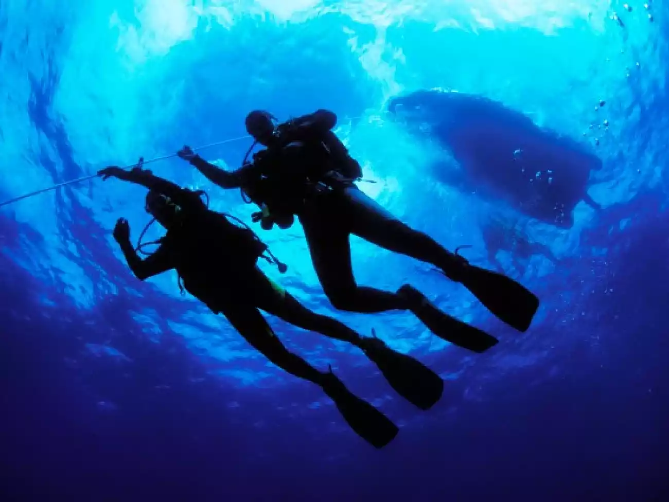Scuba Diving in Hermanus