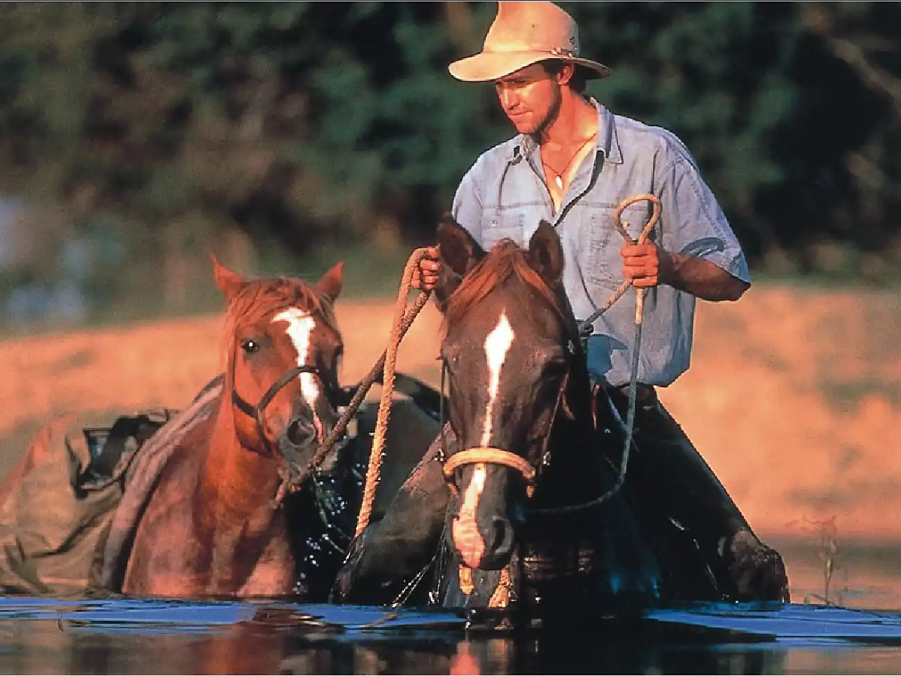 Horse Riding in the Waterberg