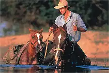 Horse Riding