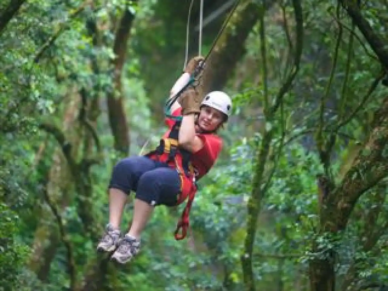 Zip Line in the Midlands