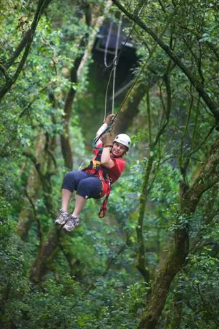 Zip Line