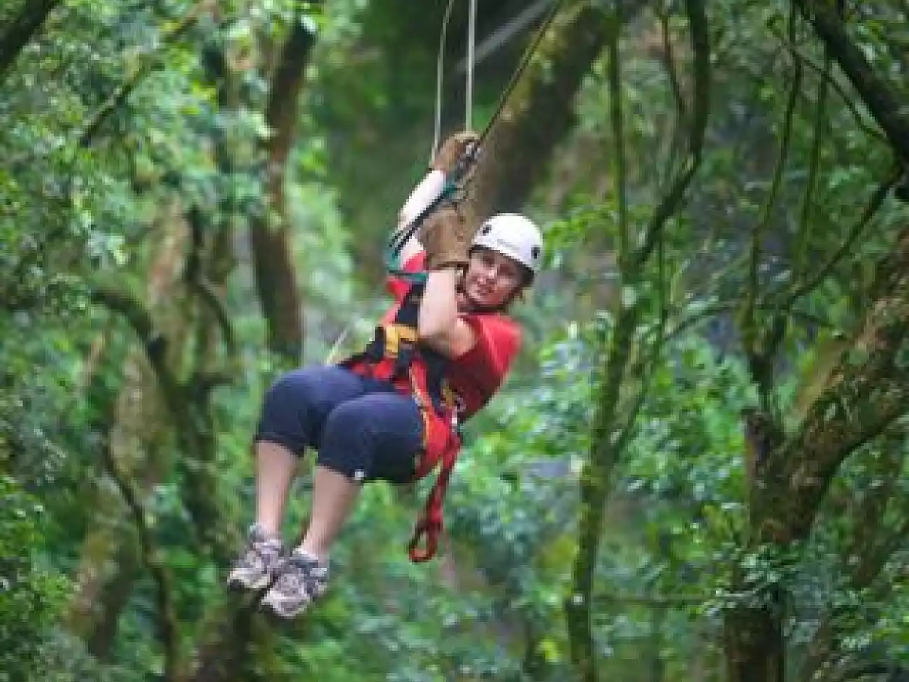 Canopy Tours in the Karkloof Forest