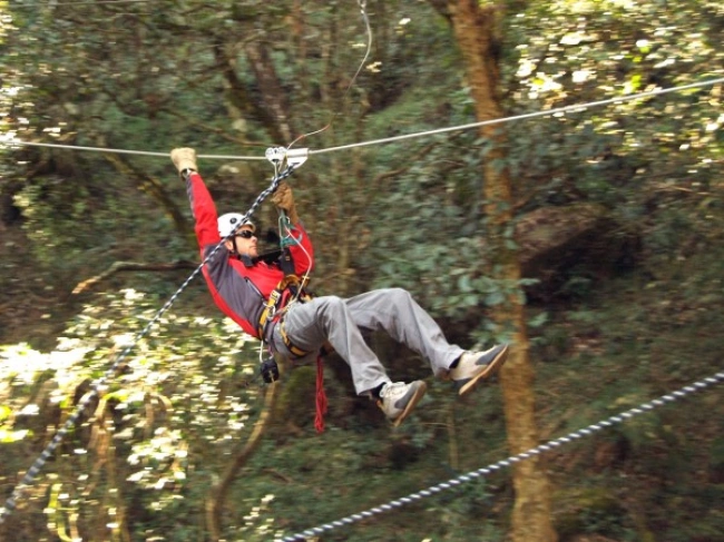 {def_description_image_text}