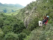 Canopy Tours