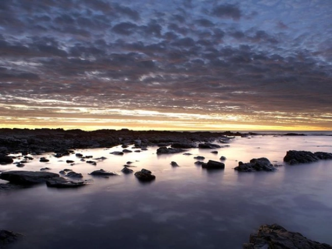 {def_description_image_text}