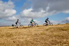 Mountain Biking