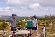 Bicycle Tours