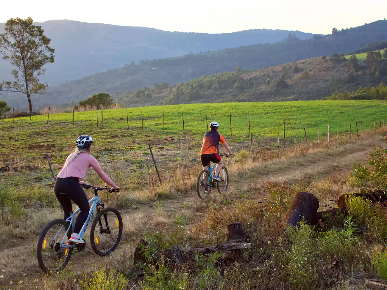 Cycle Tours in Haenertsburg