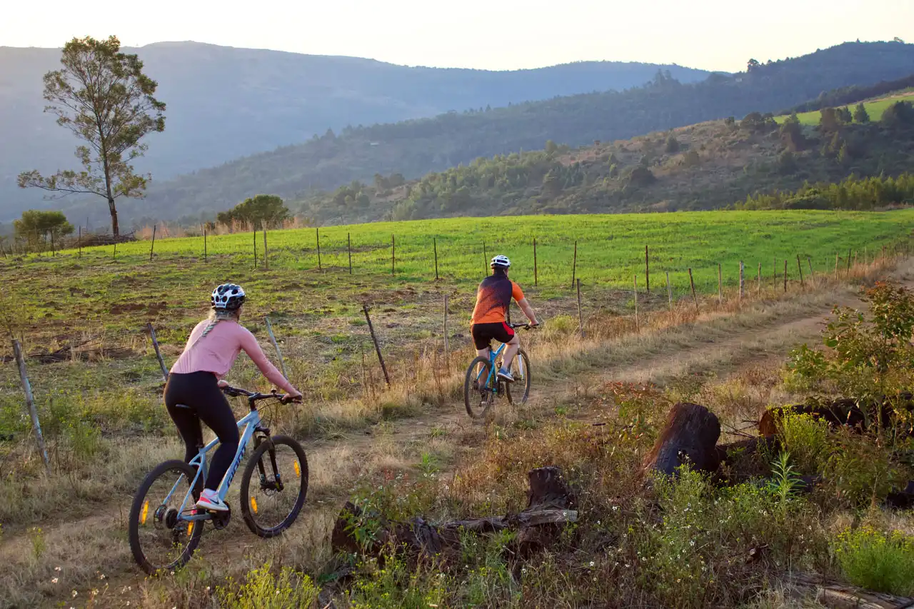 Cycle Tours