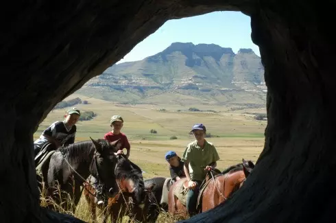 Horse Safaris