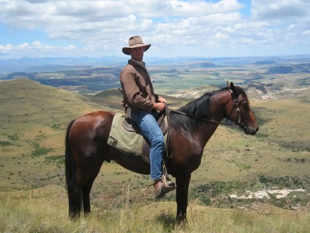 Horse Safaris in Ficksburg