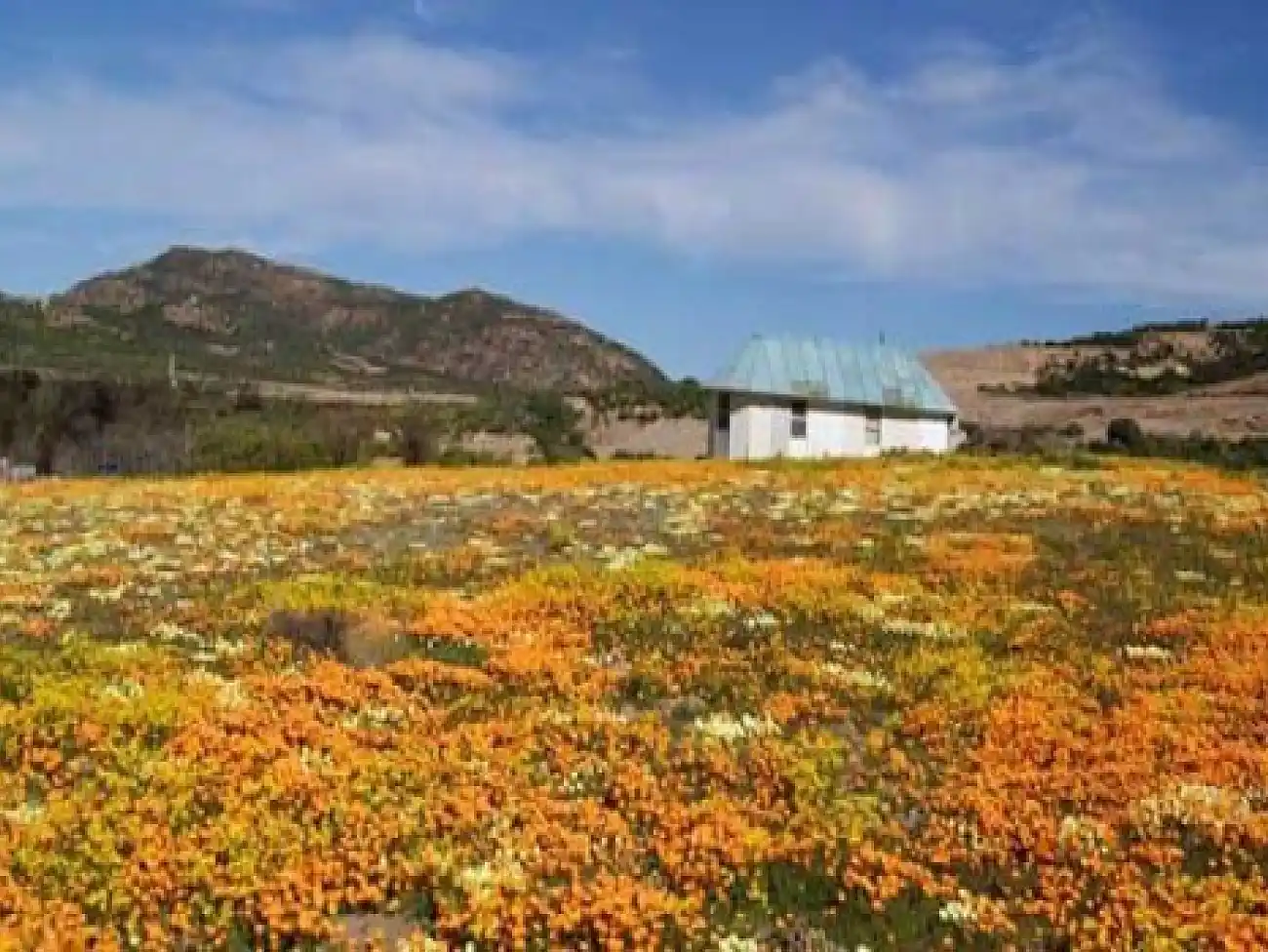Hiking in the Namaqualand National Park