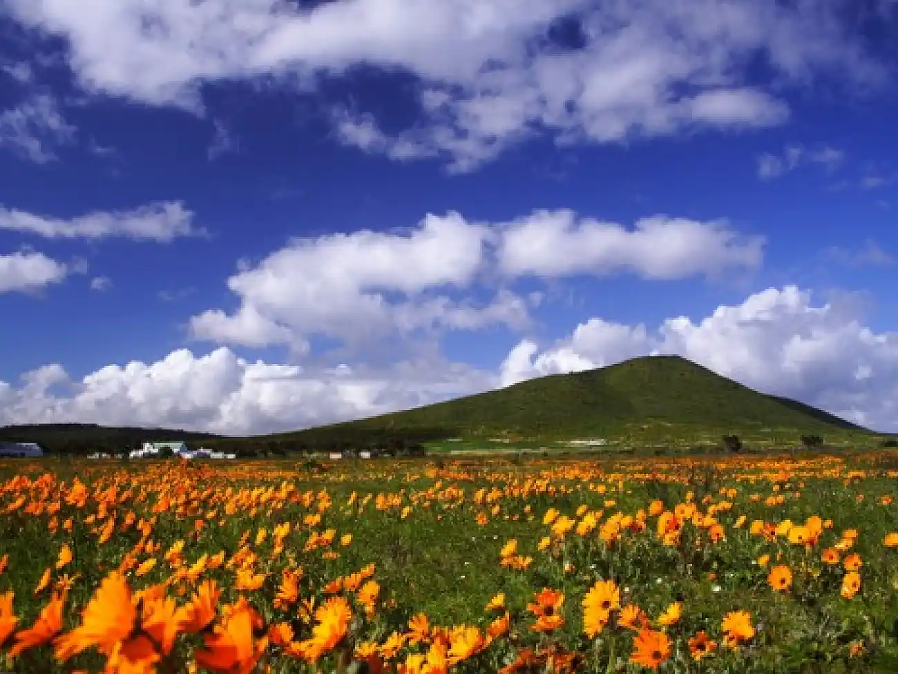 Slackpacking in the Namaqualand National Park 