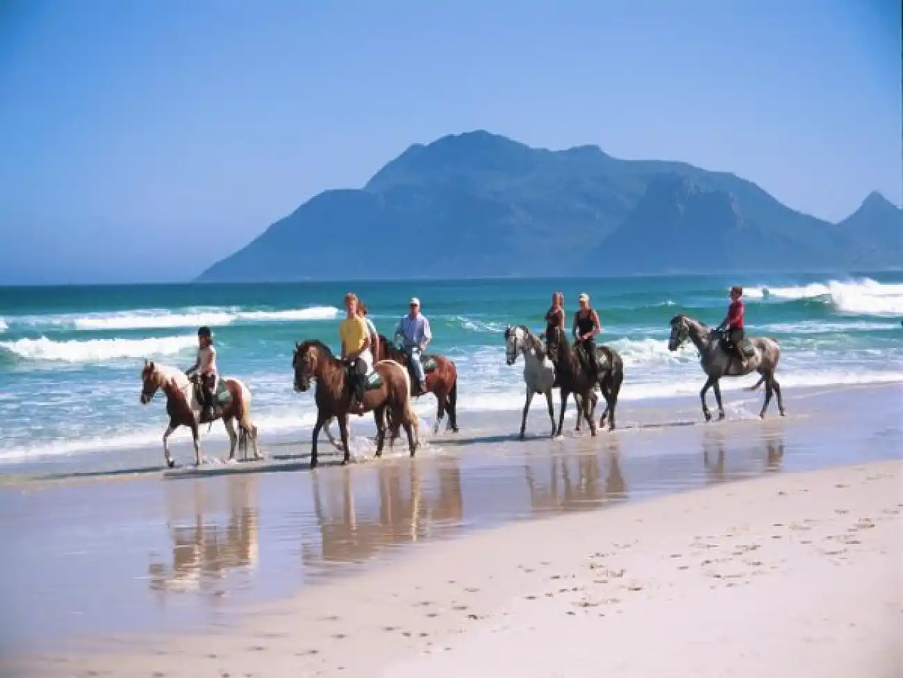 Horse Riding on Noordhoek Beach