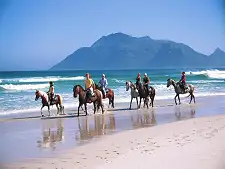 Horse Riding