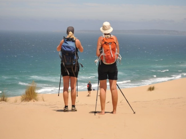 {def_description_image_text}