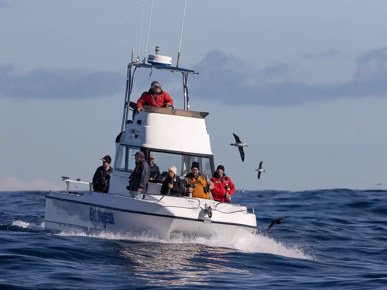 Boat trips in Hout Bay