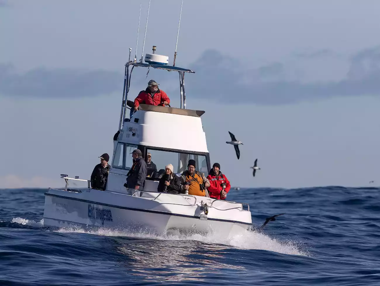 Boat trips in Hout Bay