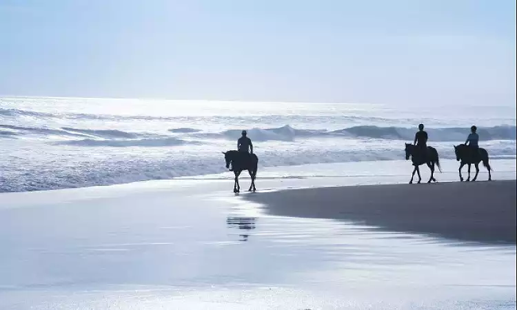 Ocean Trails Equestrian Centre - Beach Horse Rides
