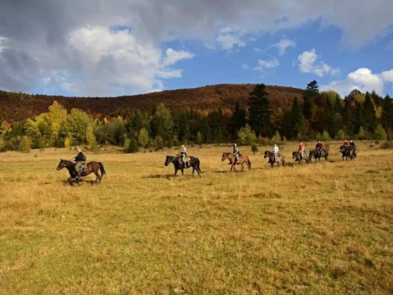 Horse Riding in the Magaliesberg