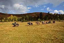 Horse Riding