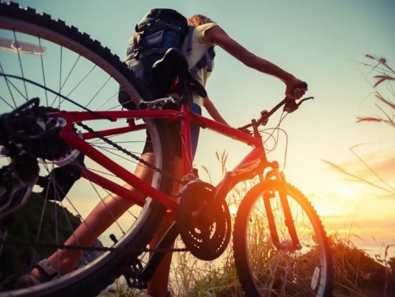 Mountain Biking in Hermanus