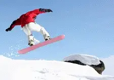 Snow Skiing