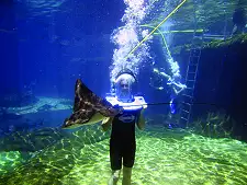 Ocean Floor Walking