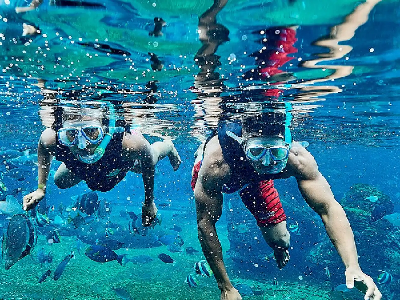 Snorkeling in Sodwana Bay