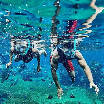 uShaka Marine World - Snorkeling