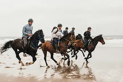 Moolmanshoek Private Game Reserve