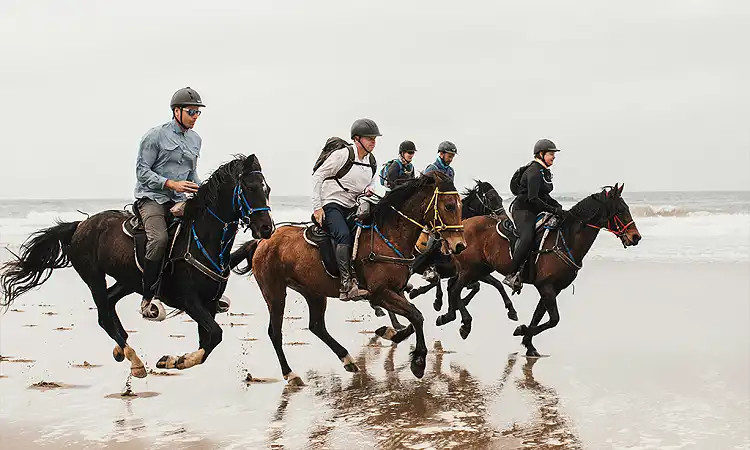 Moolmanshoek Private Game Reserve