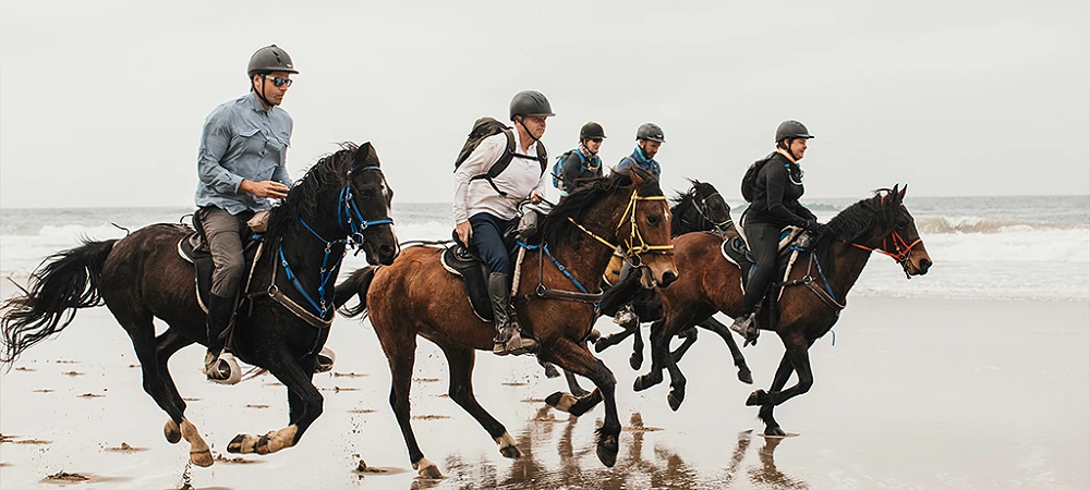 Moolmanshoek Private Game Reserve