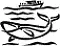 Whale Watching