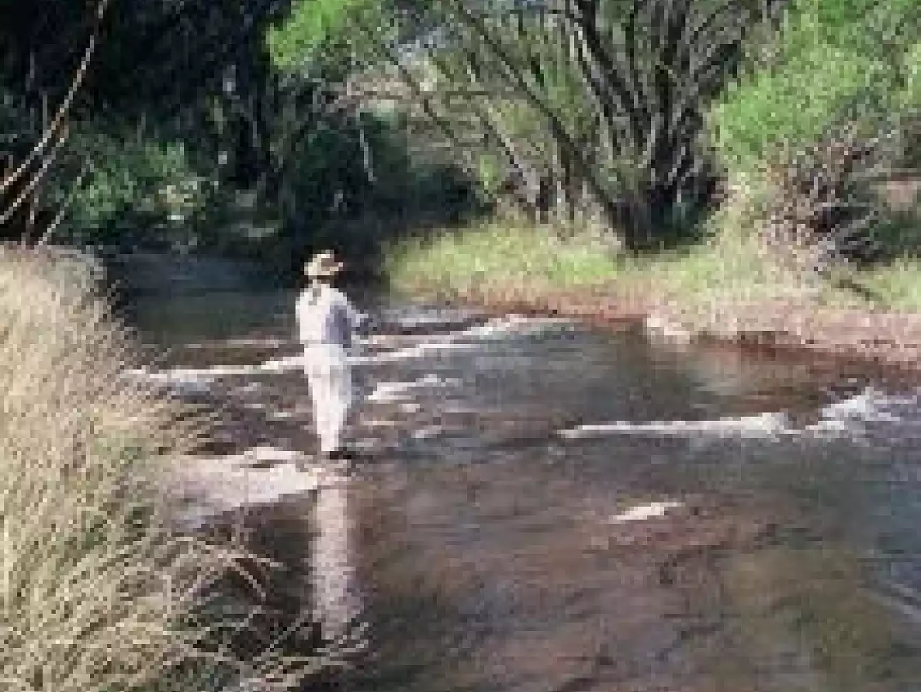 Trout Fishing in the Eastern Cape