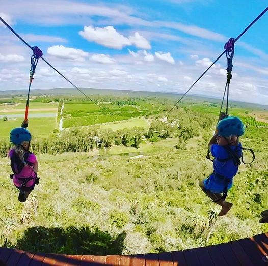 Zip Line