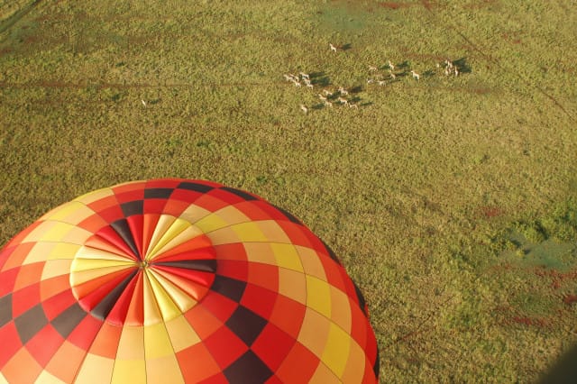 Hot-Air Balloon rides