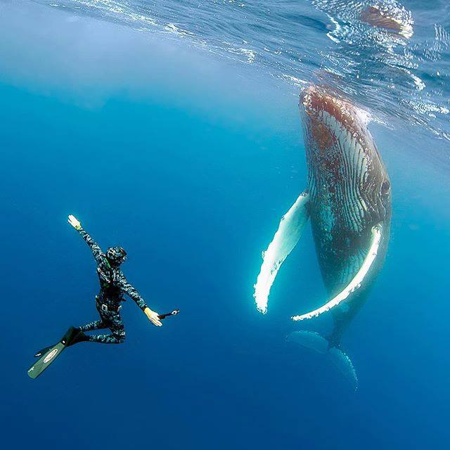 Snorkeling