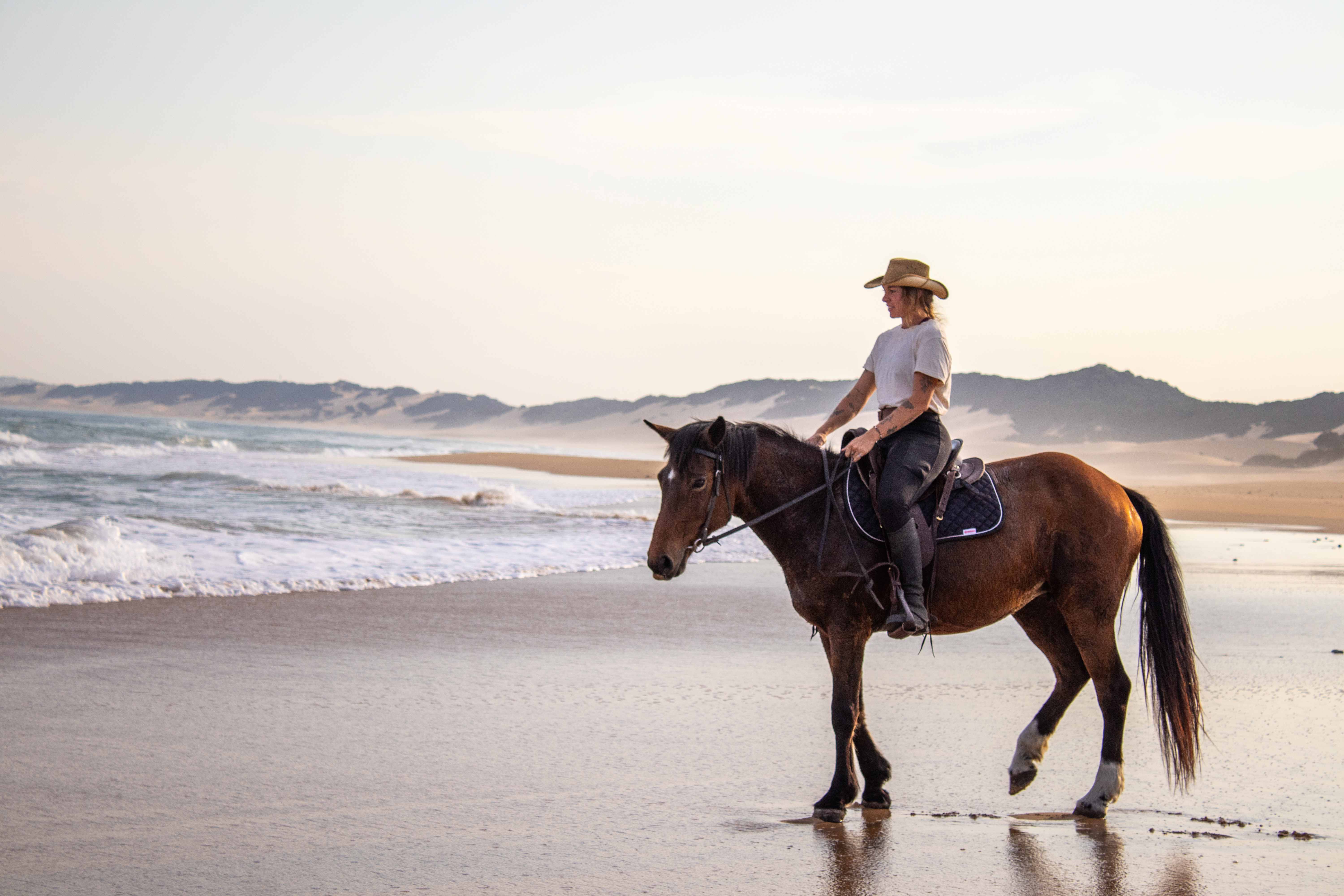 Beach Horse Rides