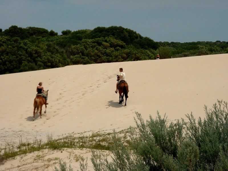 South African Adventures 2