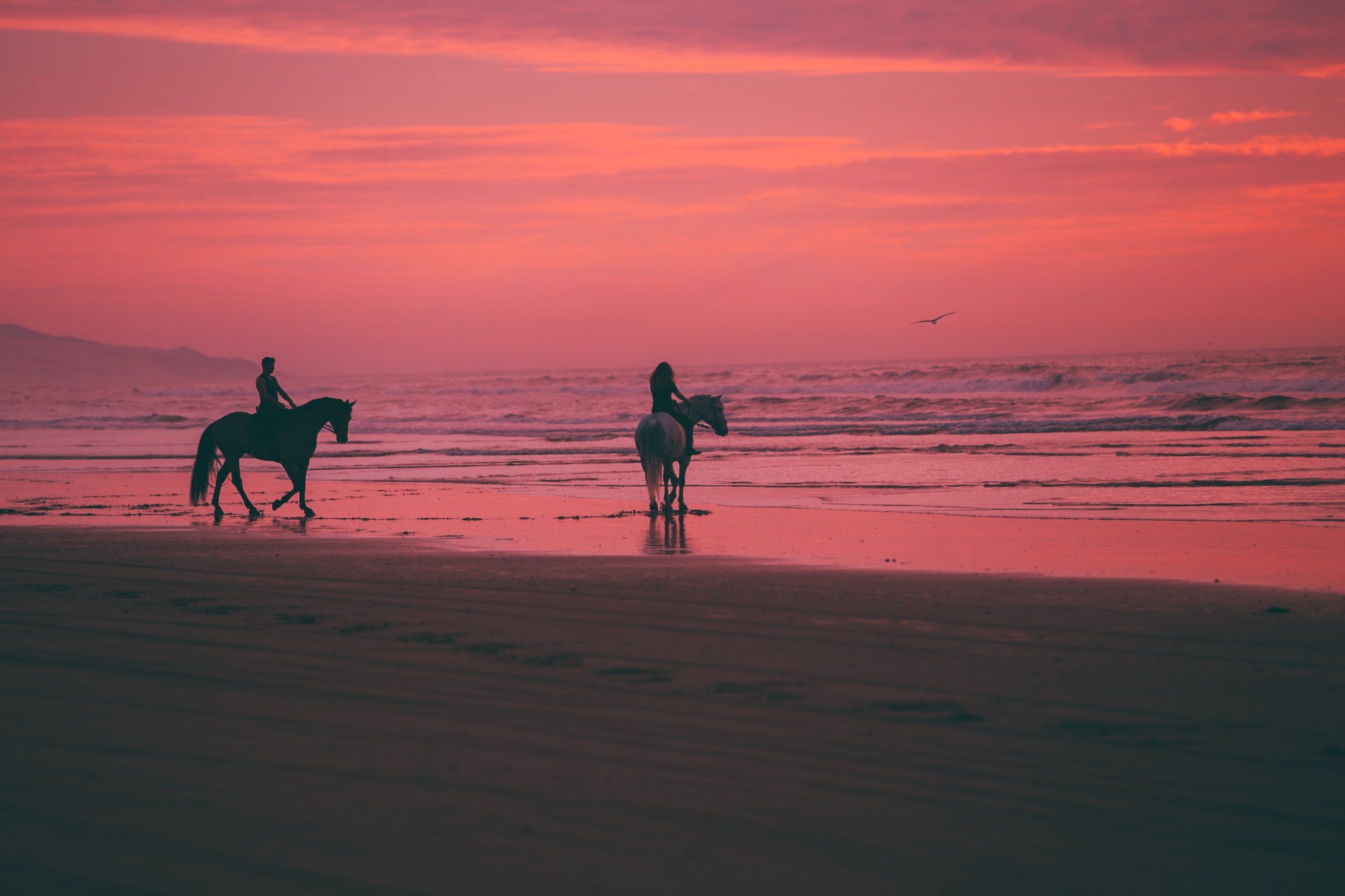 Beach Horse Rides