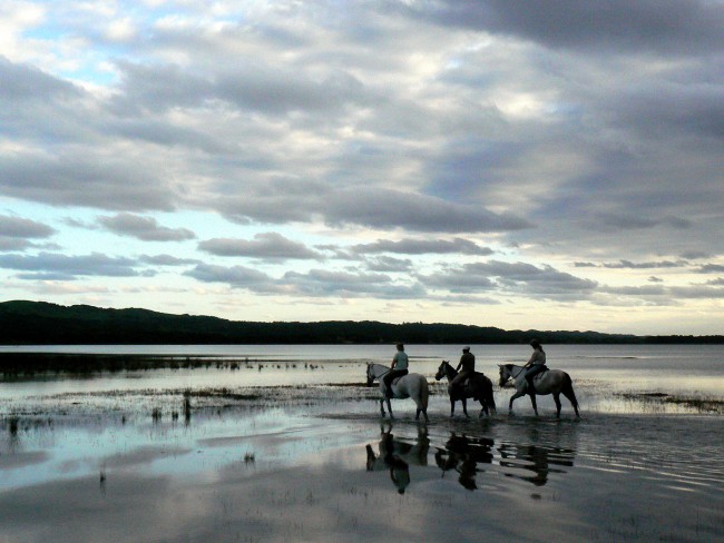 Beach Horse Rides