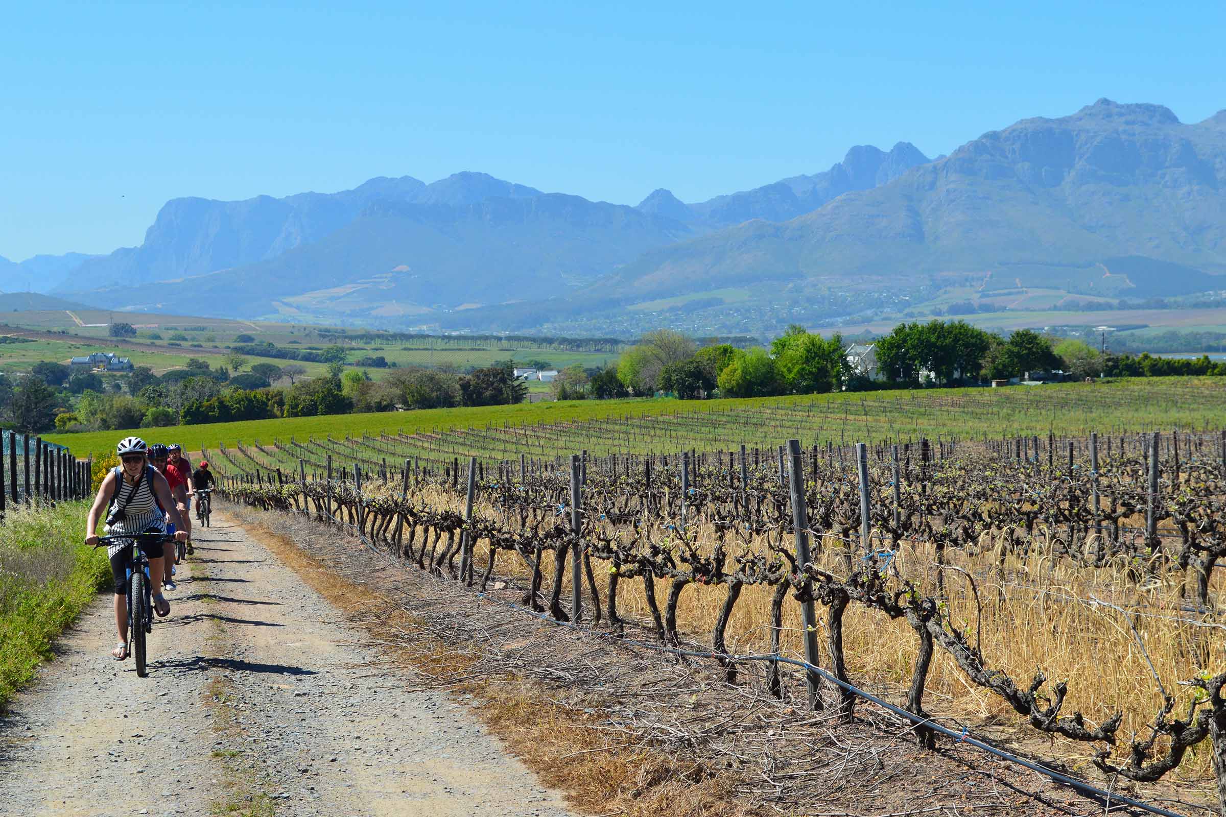 Bicycle Tours