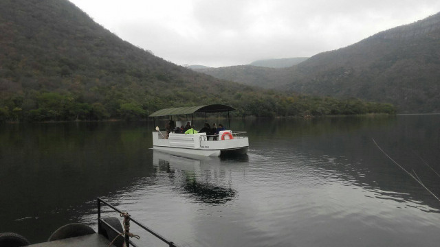 Boat Trips