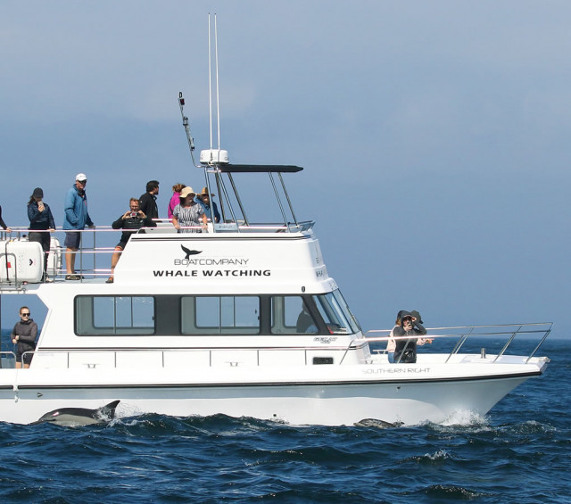 Boat Charters