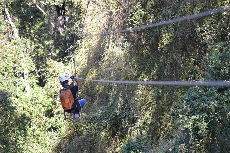 Canopy Tours
