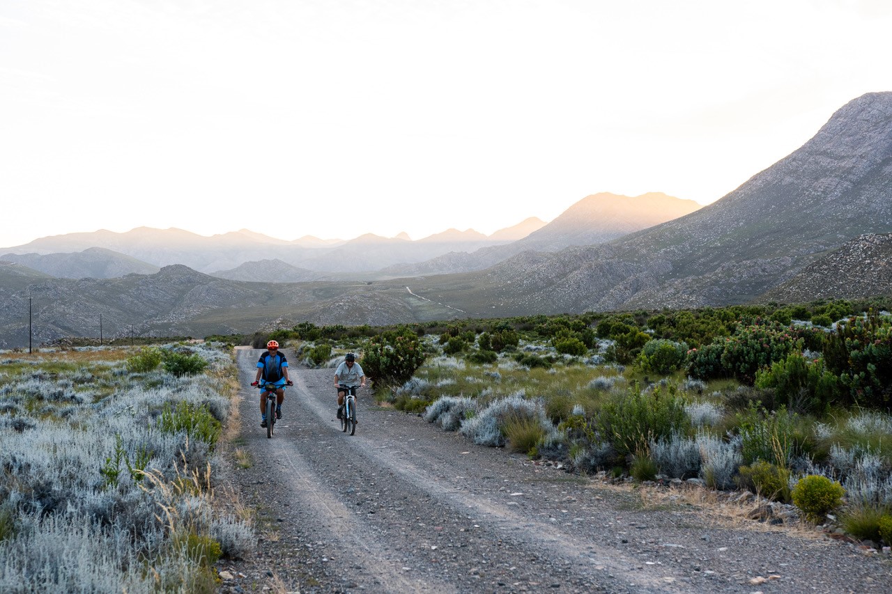 Cycle Tours