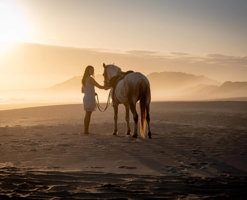 Beach Horse Rides