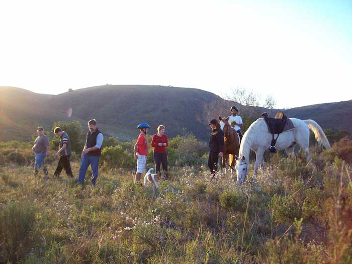 Horse Riding